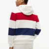 Tricolor Stripe Brushed-Back Hoodie Tricolor Stripe Brushed-Back Hoodie